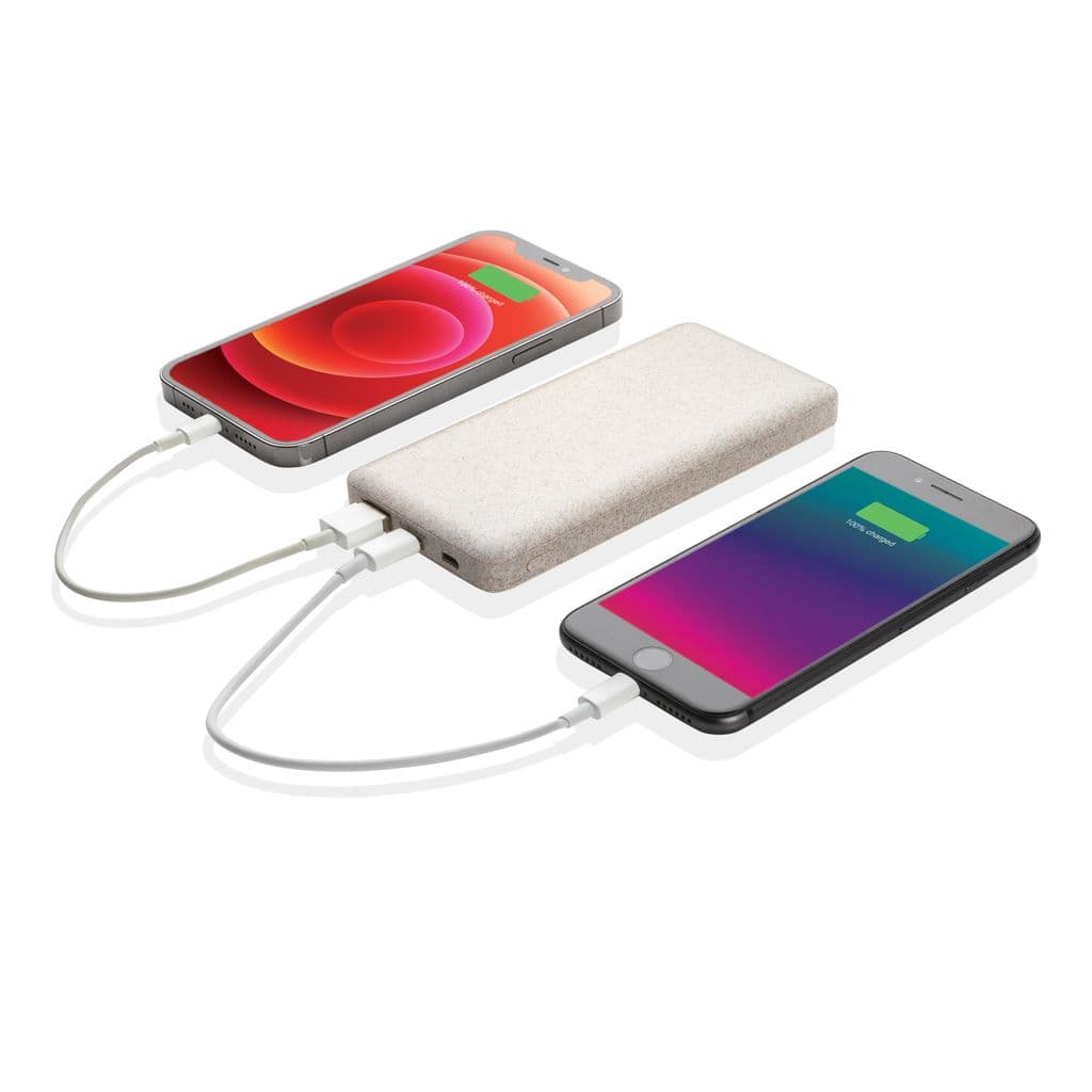 Vetestrå 10.000 mAh powerbank – miniatyr 2