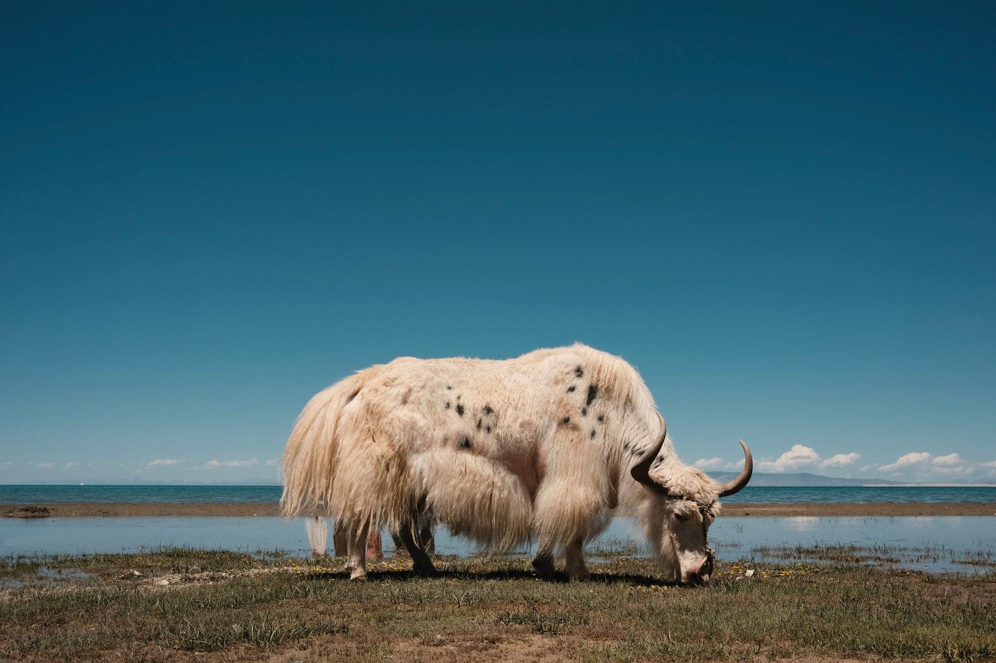 1% for the Planet – natur